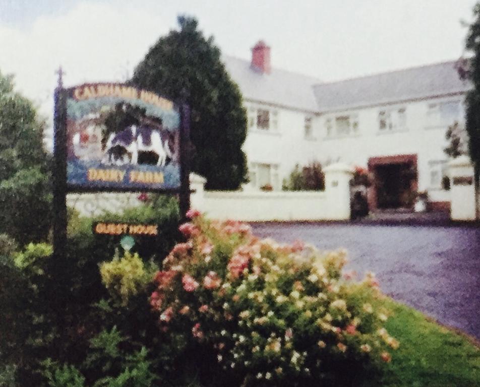 Caldhame House Hotel Crumlin  Екстериор снимка